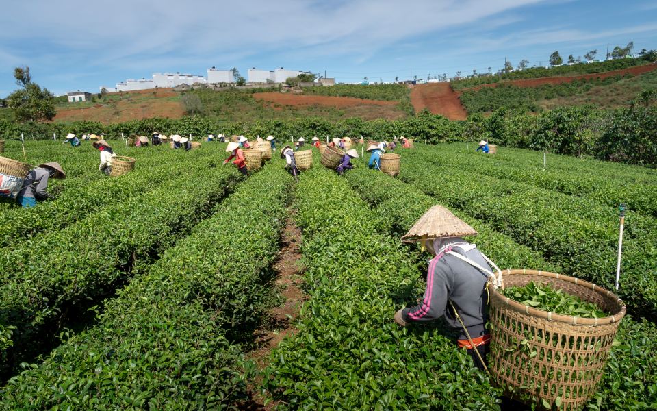 Pembahasan Lengkap Subsistem Agribisnis Dan Fungsinya - Universitas123